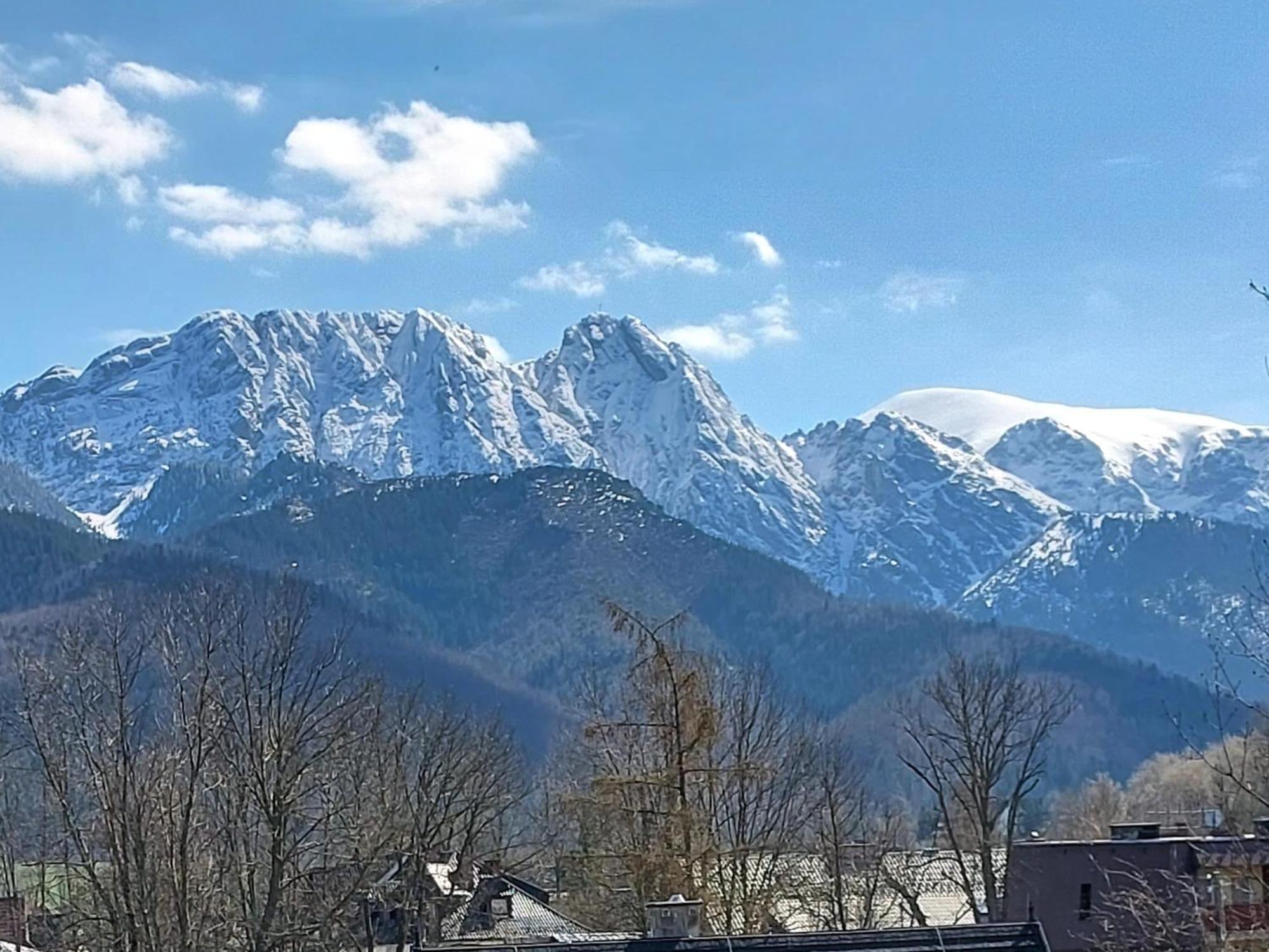 Willa Seba Zakopane Kültér fotó